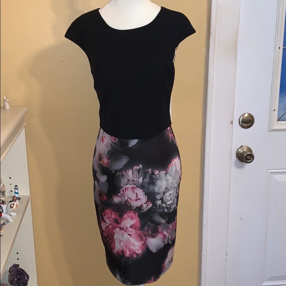 Ted Baker Dress